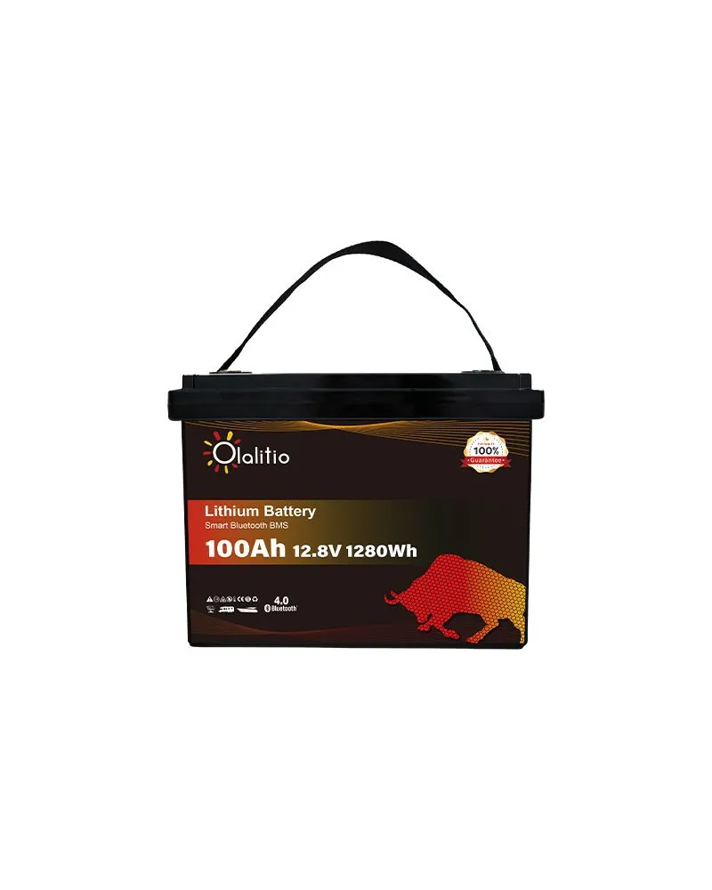 Batería Olalitio LiFePo4 12v 100Ah