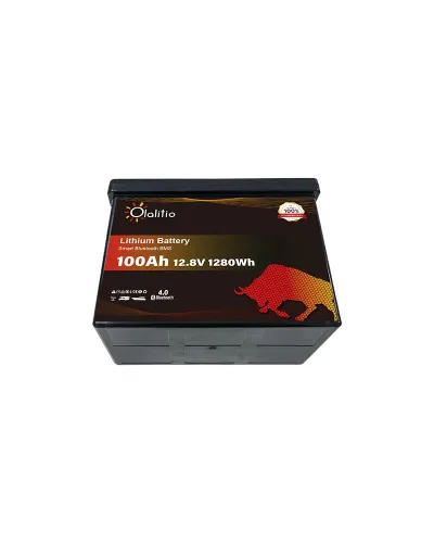 Batería Olalitio LiFePo4 12v 100Ah