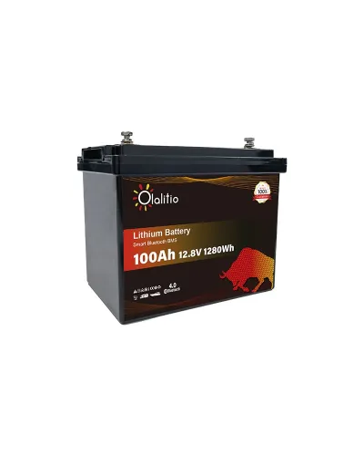 Batería Olalitio LiFePo4 12v 100Ah