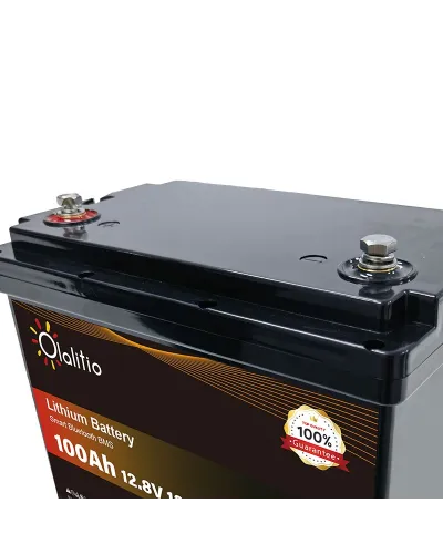 Batería Olalitio LiFePo4 12v 100Ah