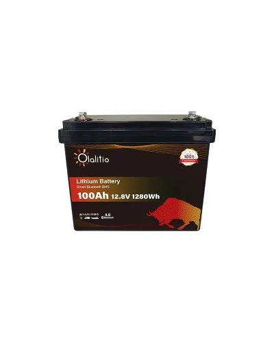 Batería Olalitio LiFePo4 12v 100Ah