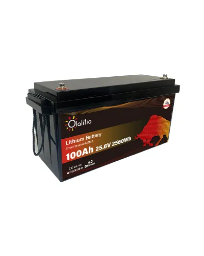 copy of Olalitio LiFePo4 12v 100Ah
