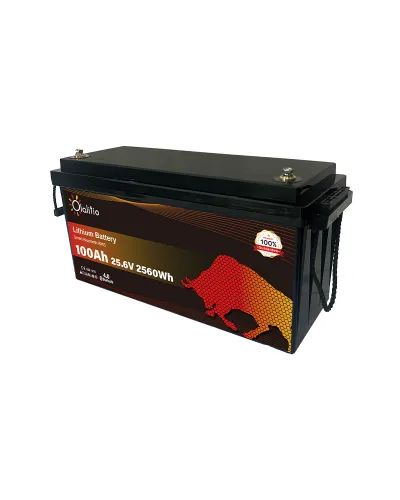 Batería LiFePo4 24 voltios 100ah Olalitio