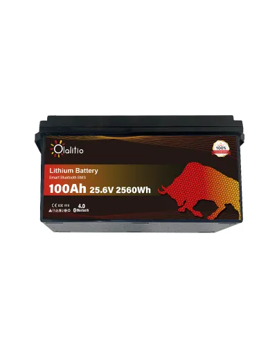 Batería LifePo4 24 voltios 100ah Olalitio