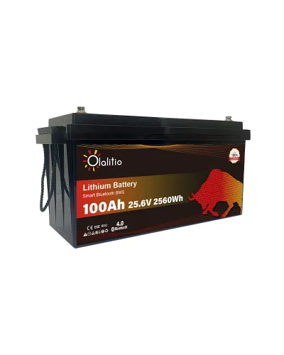 Batería LifePo4 24 voltios 100ah Olalitio