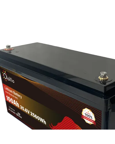 copy of Olalitio LiFePo4 12v 100Ah