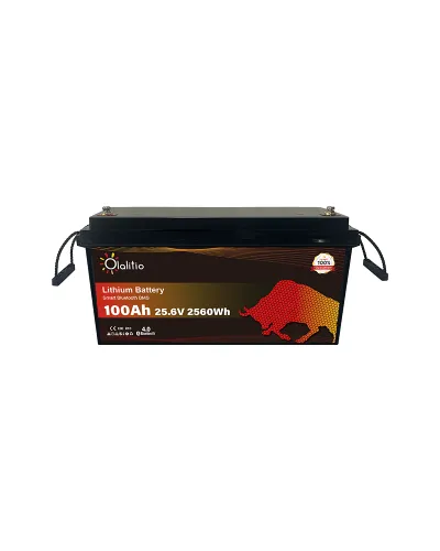 Batería Olalitio LiFePo4 24v 100Ah