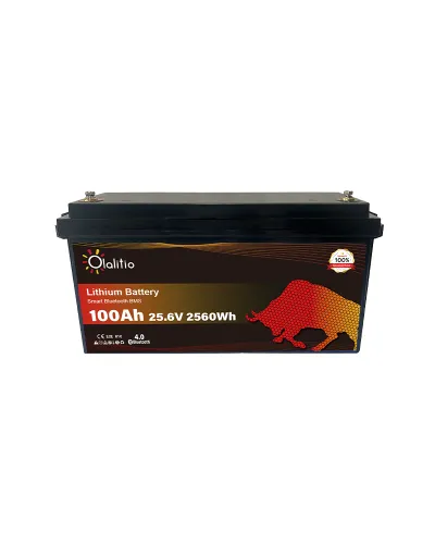 copy of Olalitio LiFePo4 12v 100Ah