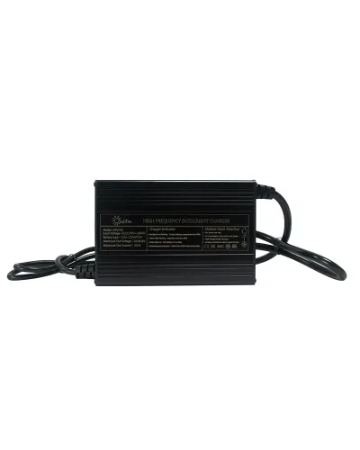 Cargador batería Litio Olalitio 36v