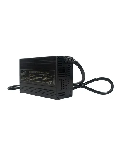 Cargador batería Litio Olalitio 36v