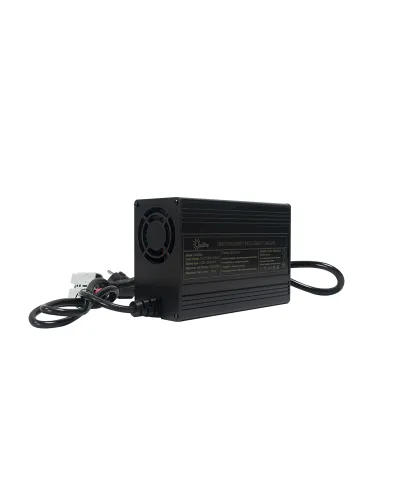 Cargador batería Litio Olalitio 36v