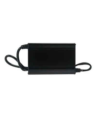 Cargador batería Litio Olalitio 36v