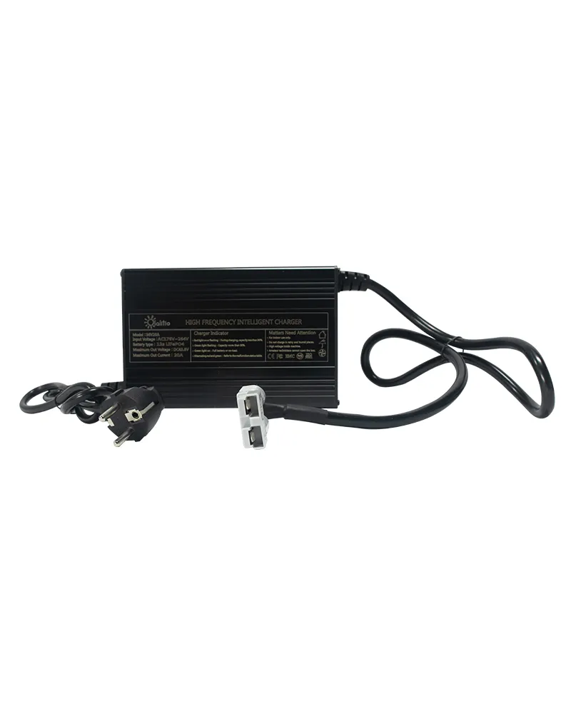 Cargador batería Litio Olalitio 36v