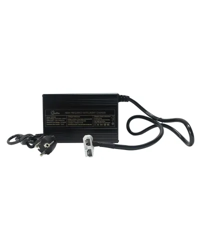 Cargador batería Litio Olalitio 36v