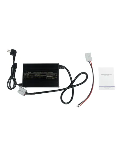 Cargador batería Litio Olalitio 36v