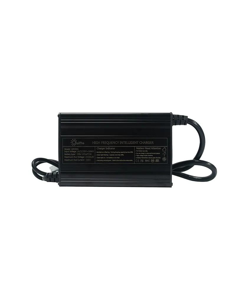 Cargador Olalitio 24 voltios 20A
